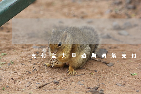 支付宝大量逾期调解(支付宝逾期民事调解)