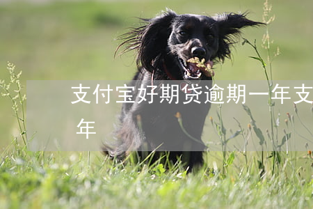 支付宝好期贷逾期一年(支付宝好期贷逾期一年)