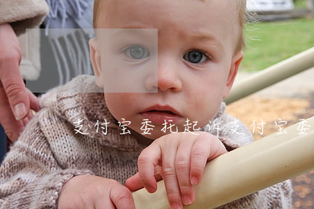 支付宝委托起诉(支付宝委托起诉怎么操作)