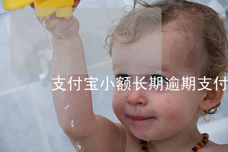 支付宝小额长期逾期 支付宝小额长期逾期