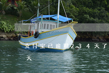 支付宝已逾期234天了(支付宝逾期240天)