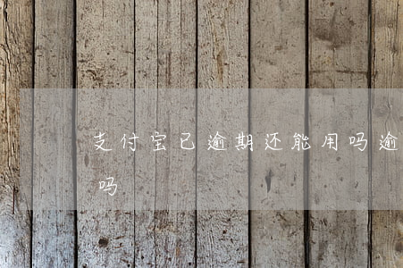 支付宝已逾期还能用吗(逾期了支付宝还能用吗)