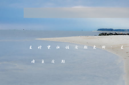 支付宝征信逾期更新-支付宝更新后在哪里修复逾期