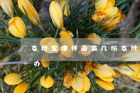 支付宝律师函发几份(支付宝发律师函了怎么办)