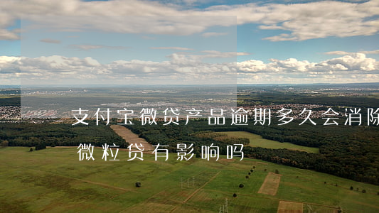 支付宝微贷产品逾期多久会消除(支付宝逾期微粒贷有影响吗)