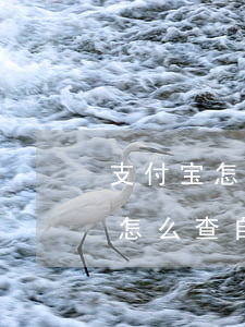 支付宝怎么查自己有没有逾期记录-支付宝怎么查自己有没有逾期记录呢
