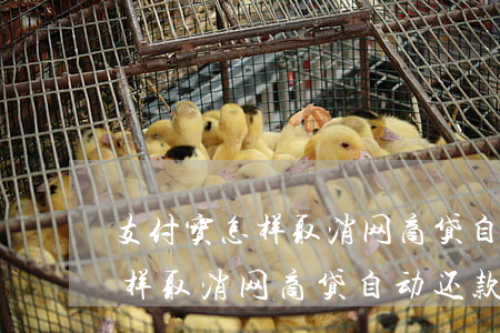 支付宝怎样取消网商贷自动还款-支付宝怎样取消网商贷自动还款功能