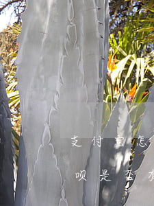支付宝怎样查借呗逾期记录-如何查自己借呗是否有逾期记录