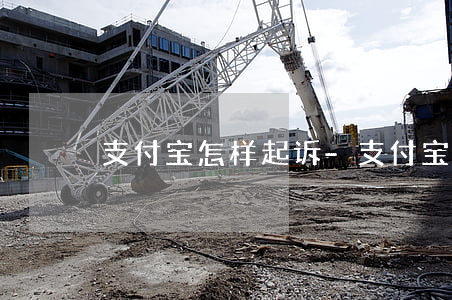 支付宝怎样起诉-支付宝怎样起诉