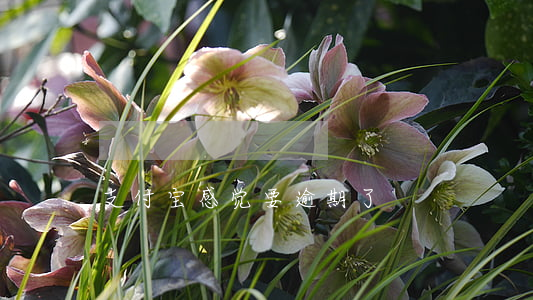 支付宝感觉要逾期了