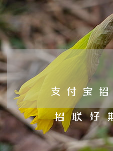 支付宝招联好期待未还款会怎么样-支付宝招联好期待上征信吗