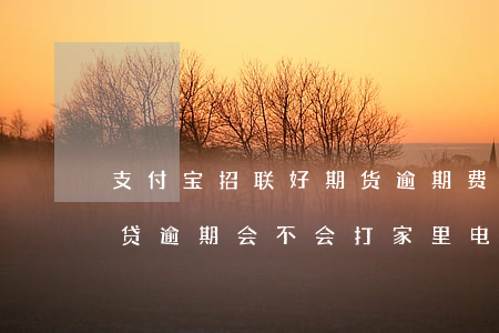 支付宝招联好期货逾期费用(支付宝招联好期贷逾期会不会打家里电话)