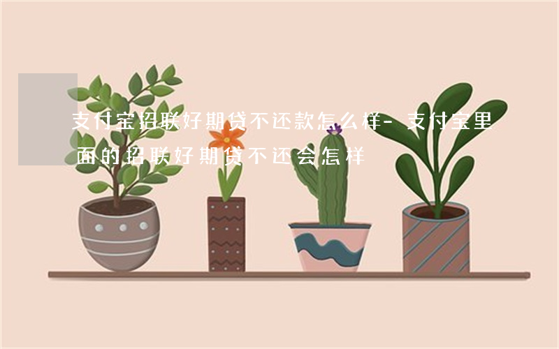 支付宝招联好期贷不还款怎么样-支付宝里面的招联好期贷不还会怎样