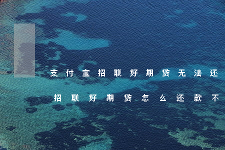 支付宝招联好期贷无法还款怎么办-支付宝招联好期贷怎么还款不了