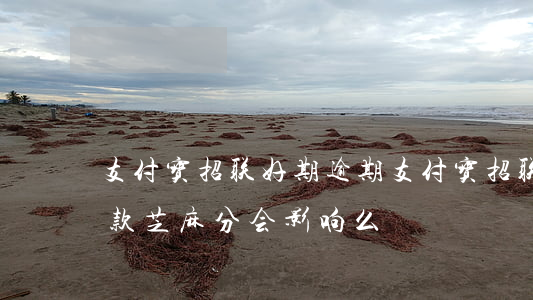 支付宝招联好期逾期(支付宝招联逾期一天还款芝麻分会影响么?)