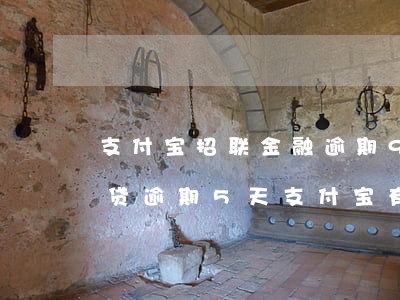 支付宝招联金融逾期90多天了么(招联好期贷逾期5天,支付宝有影响么?)