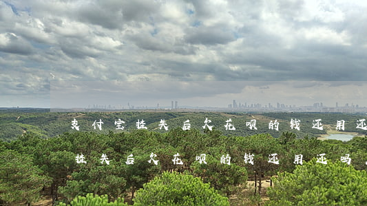 支付宝挂失后欠花呗的钱还用还吗-支付宝挂失后欠花呗的钱还用还吗怎么办