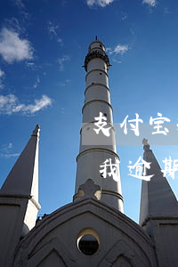 支付宝提醒有逾期未处理(没有逾期支付宝说我逾期了)