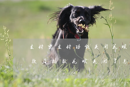 支付宝支付功能关闭花呗逾期(支付宝逾期还款后蚂蚁花呗关闭了怎么办啊)