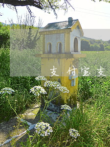 支付宝支付粒逾期(支付宝支付粒逾期)