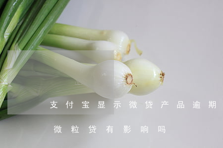 支付宝显示微贷产品逾期是什么(支付宝逾期微粒贷有影响吗)
