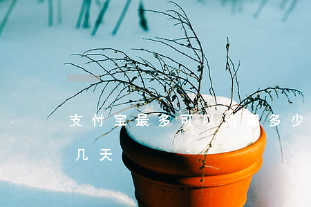 支付宝最多可以逾期多少天（支付宝可以逾期几天）