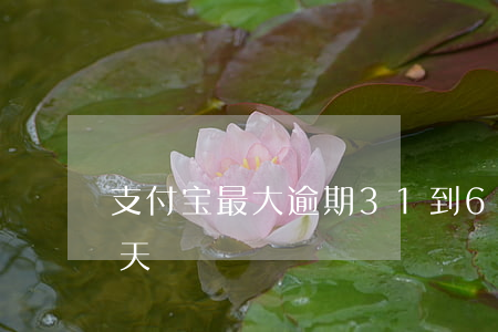 支付宝最大逾期31到60天 支付宝逾期六天
