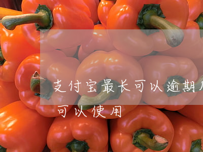 支付宝最长可以逾期几个月(支付宝逾期多久可以使用)