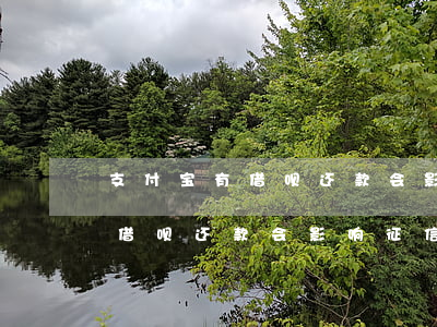 支付宝有借呗还款会影响征信吗-支付宝有借呗还款会影响征信吗知乎