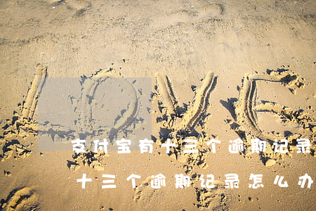 支付宝有十三个逾期记录怎么办-支付宝有十三个逾期记录怎么办呢