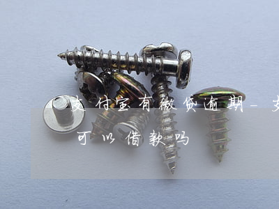 支付宝有微贷逾期-支付宝逾期了微粒贷还可以借款吗