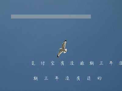 支付宝有没逾期三年没有还的(支付宝有没逾期三年没有还的)