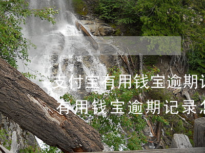 支付宝有用钱宝逾期记录怎么删掉-支付宝有用钱宝逾期记录怎么删掉呢