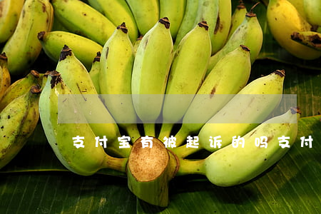 支付宝有被起诉的吗(支付宝会起诉法院吗)