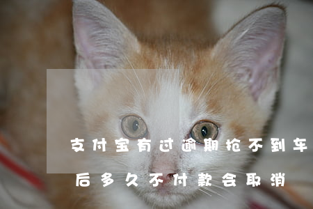 支付宝有过逾期抢不到车票 火车票抢票成功后多久不付款会取消