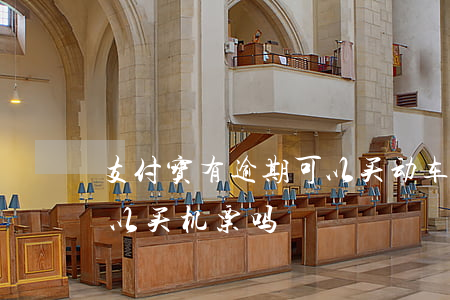 支付宝有逾期可以买动车票吗(支付宝逾期可以买机票吗?)