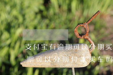 支付宝有逾期可以分期买车吗(支付宝有过逾期可以分期付款买车吗?)