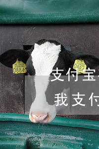 支付宝有逾期可以用捷信么(捷信不还会限制我支付宝使用)