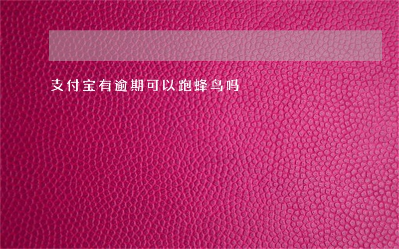 支付宝有逾期可以跑蜂鸟吗