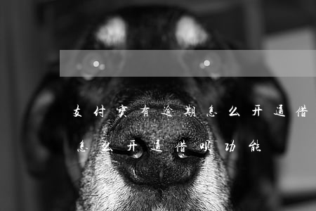 支付宝有逾期怎么开通借呗-支付宝有逾期怎么开通借呗功能
