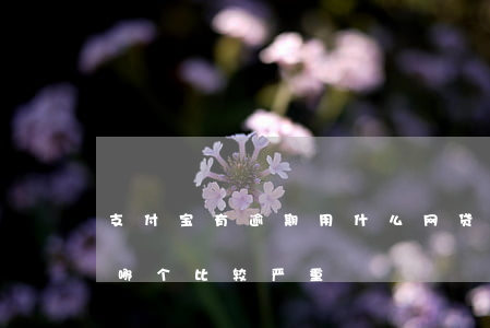 支付宝有逾期用什么网贷(支付宝跟网贷逾期哪个比较严重)