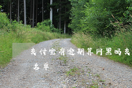 支付宝有逾期算网黑吗(支付宝逾期算不算黑名单)