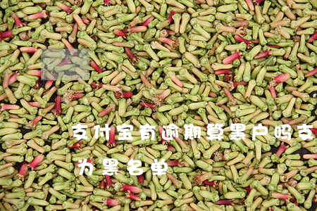 支付宝有逾期算黑户吗(支付宝逾期2年会成为黑名单)