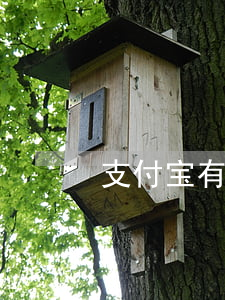 支付宝有逾期能做捷信不