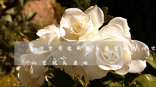 支付宝有逾期能办房贷吗(支付宝逾期过还可以贷款买房吗)