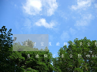 支付宝有逾期记录会影响信用卡吗-支付宝有逾期记录会影响信用卡吗知乎