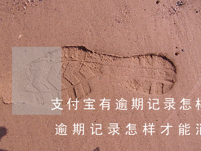 支付宝有逾期记录怎样才能消除-支付宝有逾期记录怎样才能消除掉