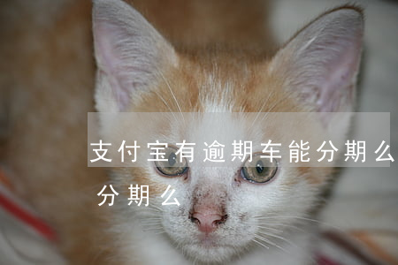 支付宝有逾期车能分期么(支付宝有逾期车能分期么)