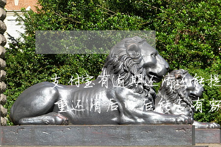 支付宝有逾期还清还能提额吗 支付宝逾期严重还清后以后能否有额度