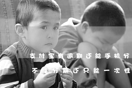 支付宝有逾期还能手机分期吗(支付宝逾期了不能分期还,只能一次性呀)